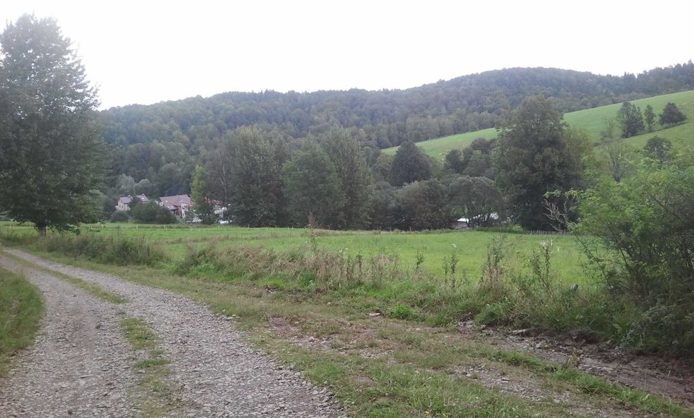 Sprzedam działkę 80 ar, obok wyciągu Kiczera-Ski, koło Rymanowa Zdrój