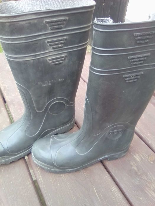Gumiaki , gumowce męskie