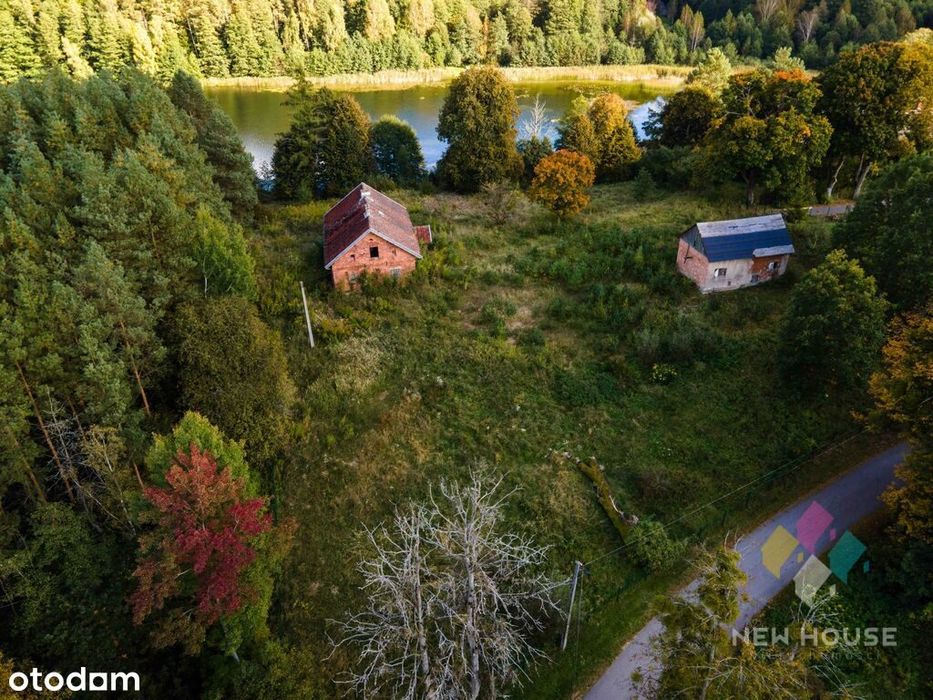 Dłużki, siedlisko nad jez. Dłużek