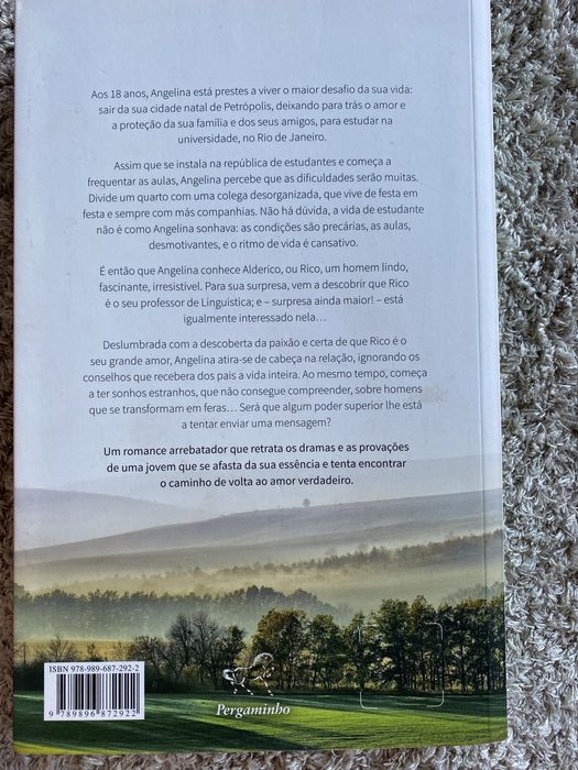 Livro “O Despertar” de Lycia Barros