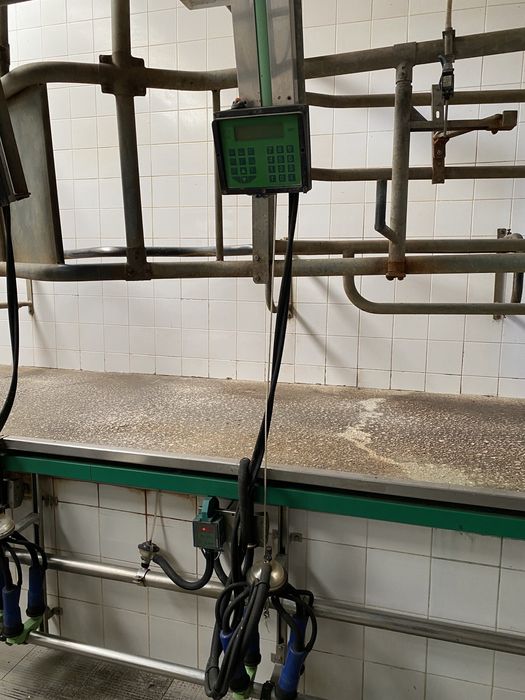 Ordenha Manus IMC 14 unidades