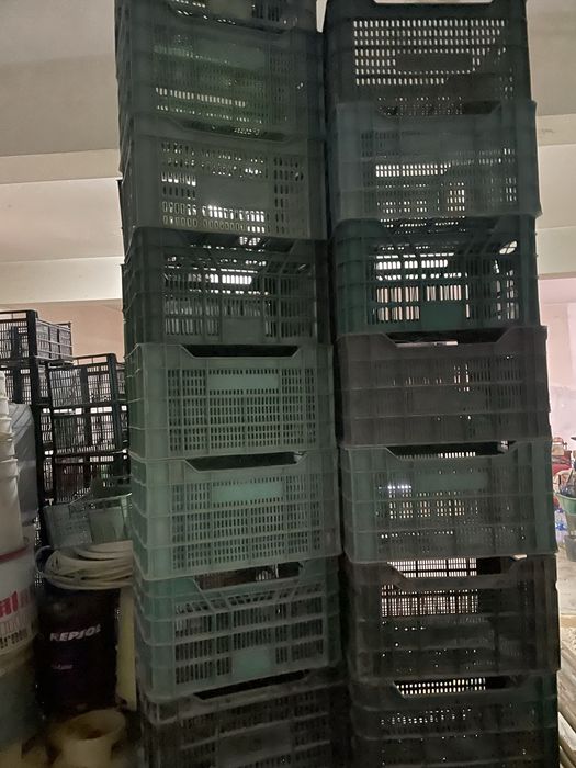 Caixas plasticas grandes ( Baú )