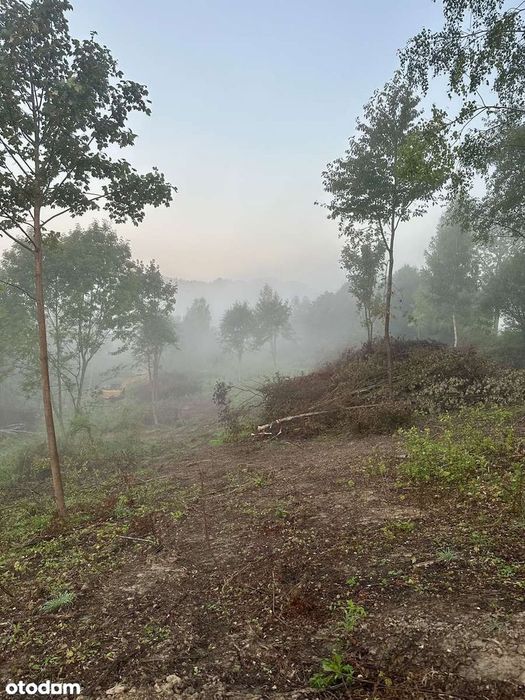Solina 1,97 ha | MPZP | pod inwestycję (podział/domki) | PUM do 2800m2