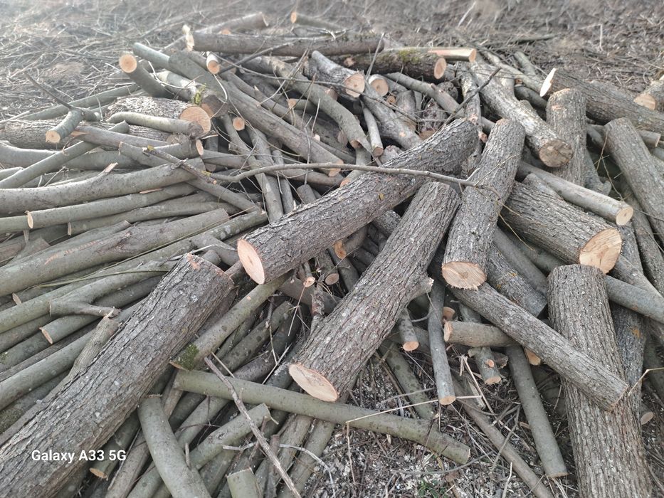 Дрова мягкої породи