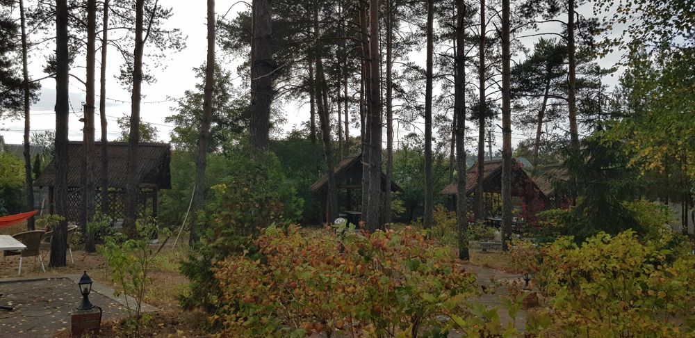 Готельно-ресторанний комплекс. 50сот., під забудову, Блакитне озеро