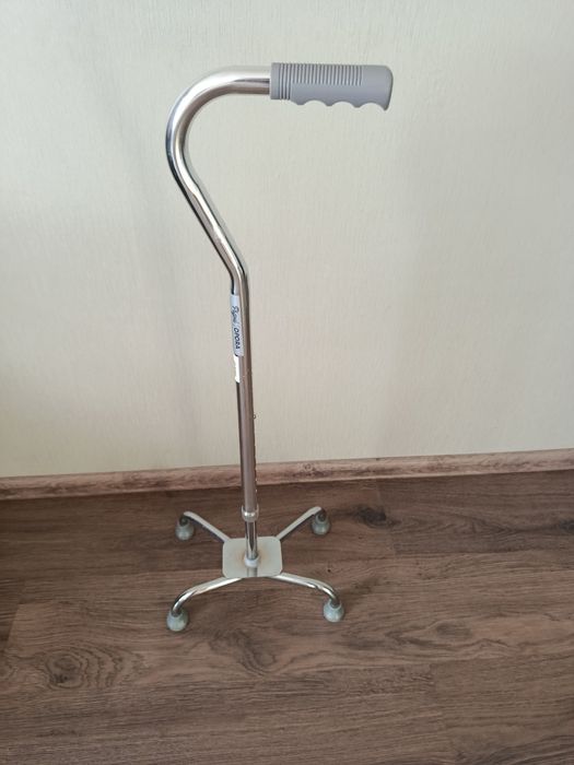 Палиця для хотьби