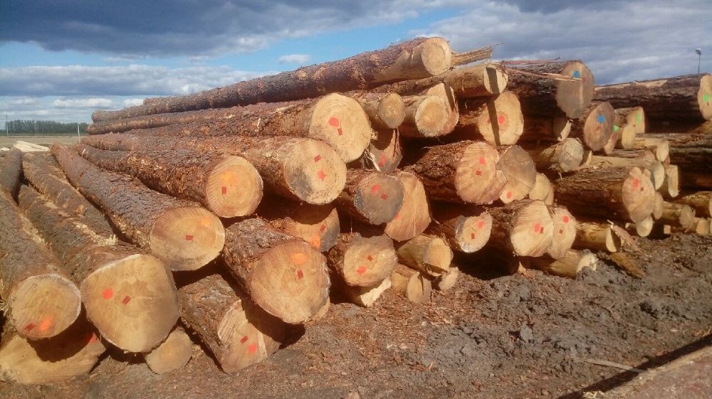 Drewno konstrukcyjne C24, Tartak wiezba dach