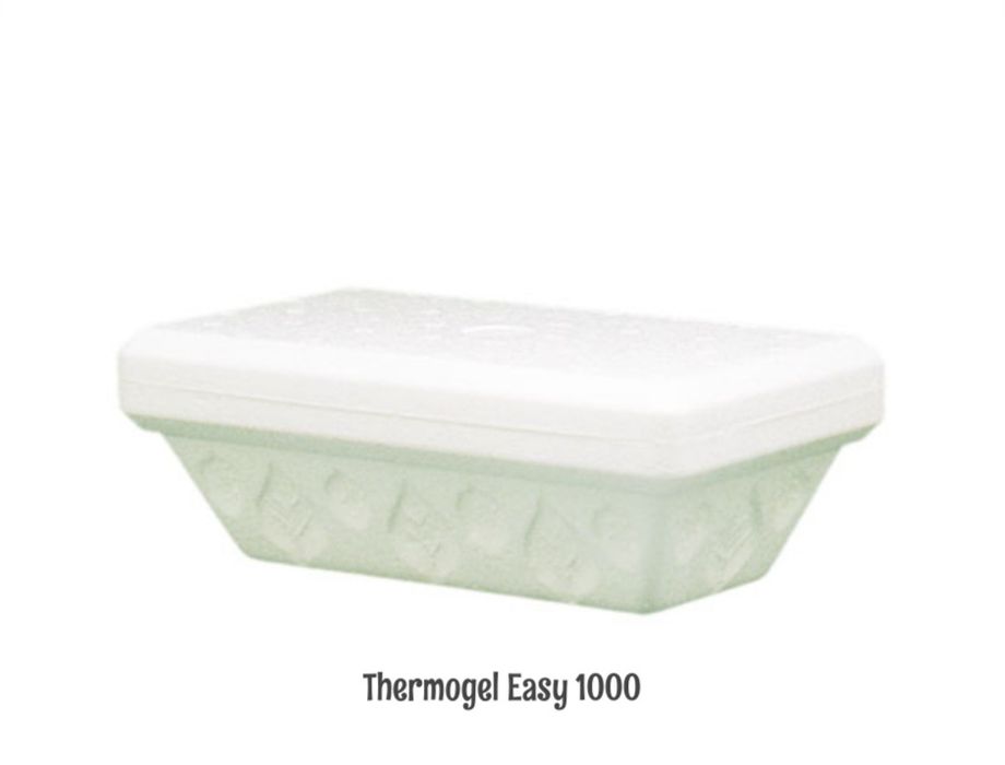 Caixa térmica para Take-away de gelados 500cc e 1000cc