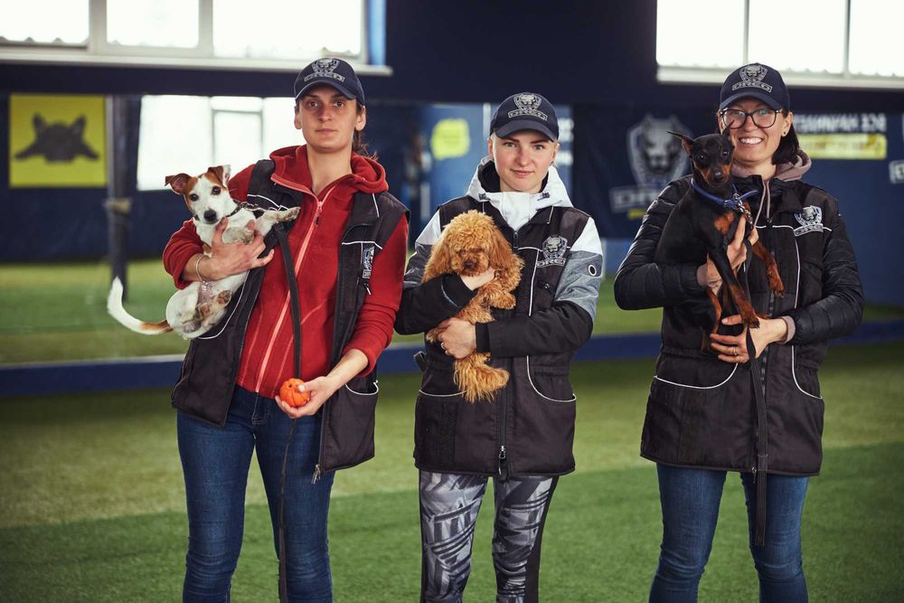 Дресирування собак Кінолог Стоянка Забуча Романівка Петрушки