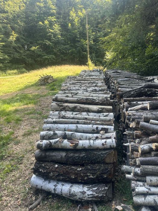 Drzewo opałowe do kominka i pieca