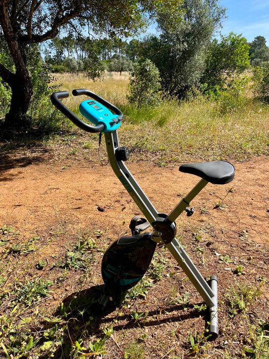 Bicicleta Estatística PRIXTON BF100