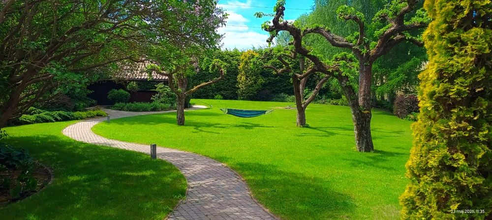Dom Toruń Rozgarty 182 m² bez pośredników działka 2500m 1 575 000 pln do negocjacji. - Widok 6