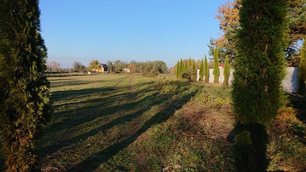 Najem działki rekreacyjnej