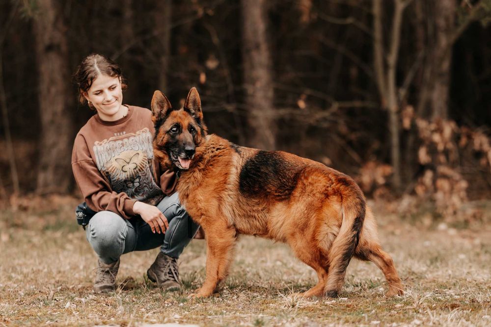 Elegancka dama Rita poleca się do adopcji