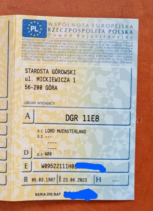 Pozostałości po przyczepie kempingowej
