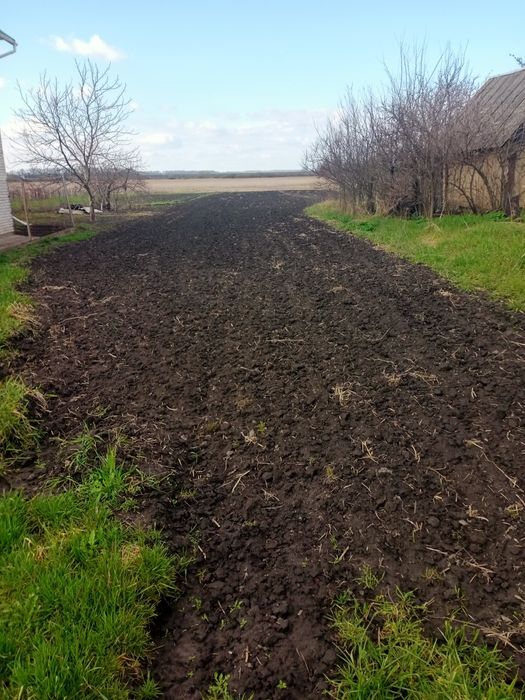 Земельна ділянка