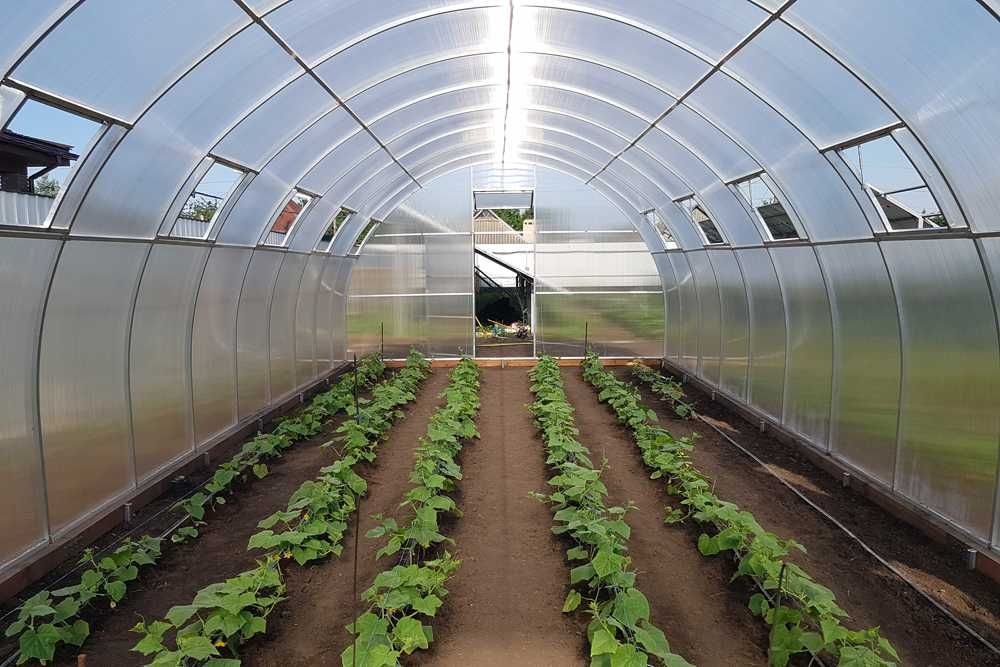 Теплицы/Теплиці  шириною 2/3/4/5/6м довжиною від 2м