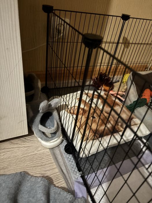 Продам вольер для животных