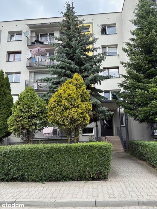 Mieszkanie 1-pokojowe z piwnicą w Dąbrowie Górniczej