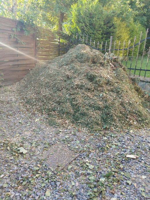 Zrębki  wióry drzewne za darmo ok 2 m3