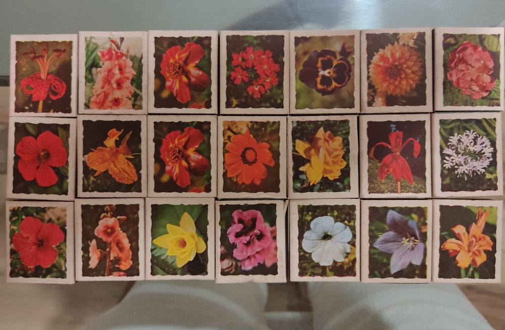 Coleção de caixa de fósforos