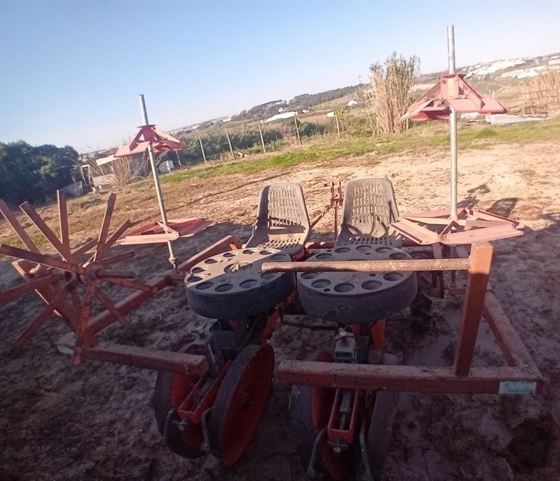Plantador Chechi magli