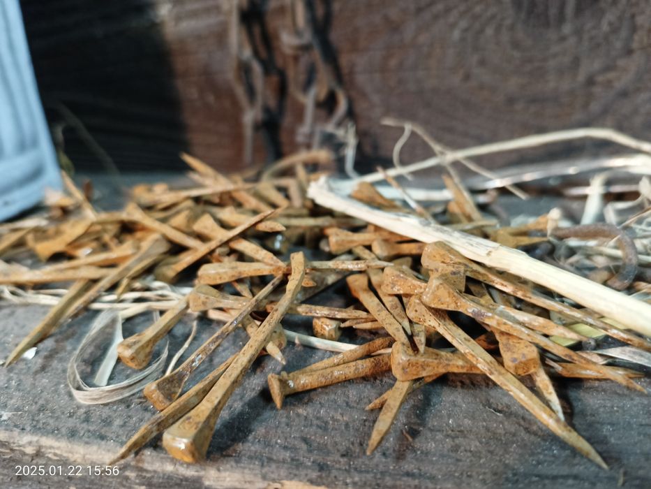 Stare gwozdzie kute.