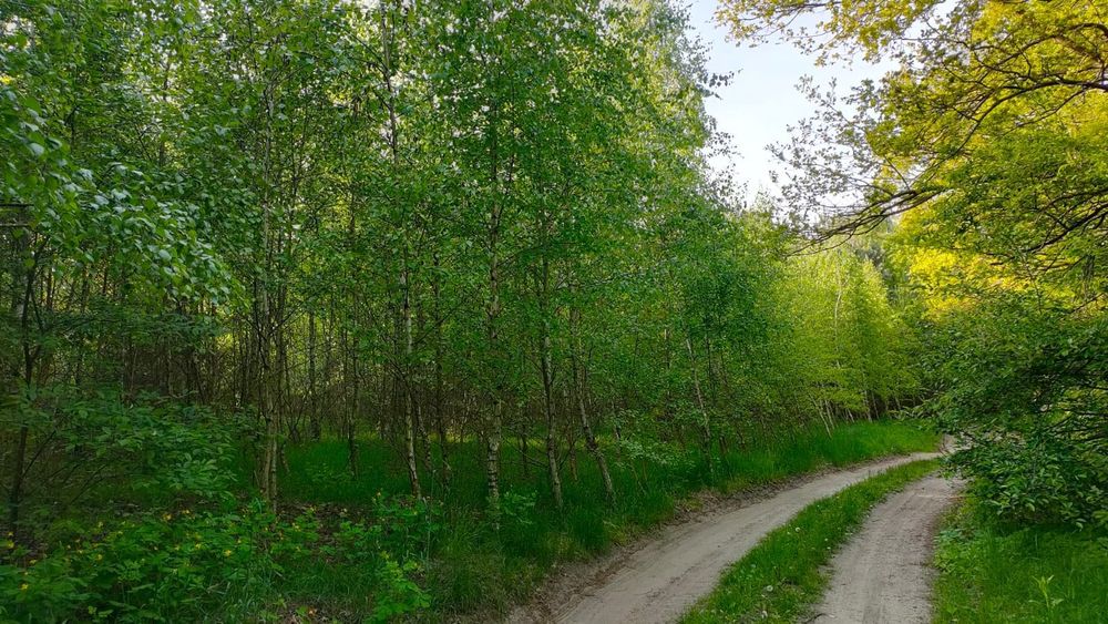Działka na sprzedaż bez pośredników 3,8ha