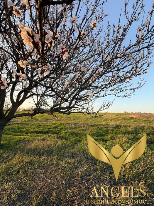 Продаж землі 75 соток приватизована с.Созонівка