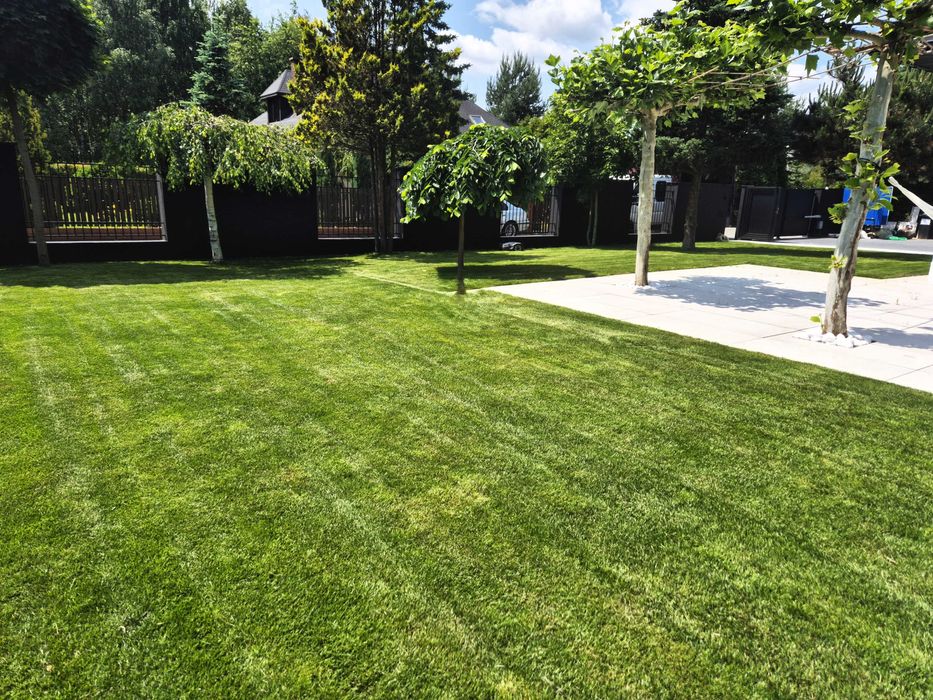 Trawa z rolki - Sprzedaż Wykładanie