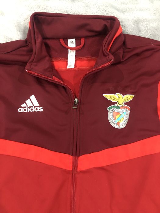 Casaco Slb Benfica
