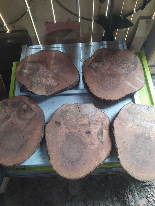 Sprzedam plastry jesion