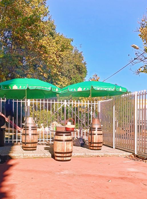 Castanhas assadas magusto