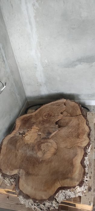 Слеб, срезиз ореха большой