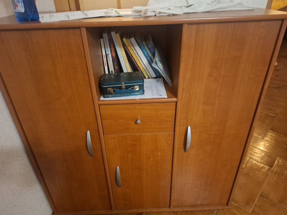 Móveis  de sala  castanhos