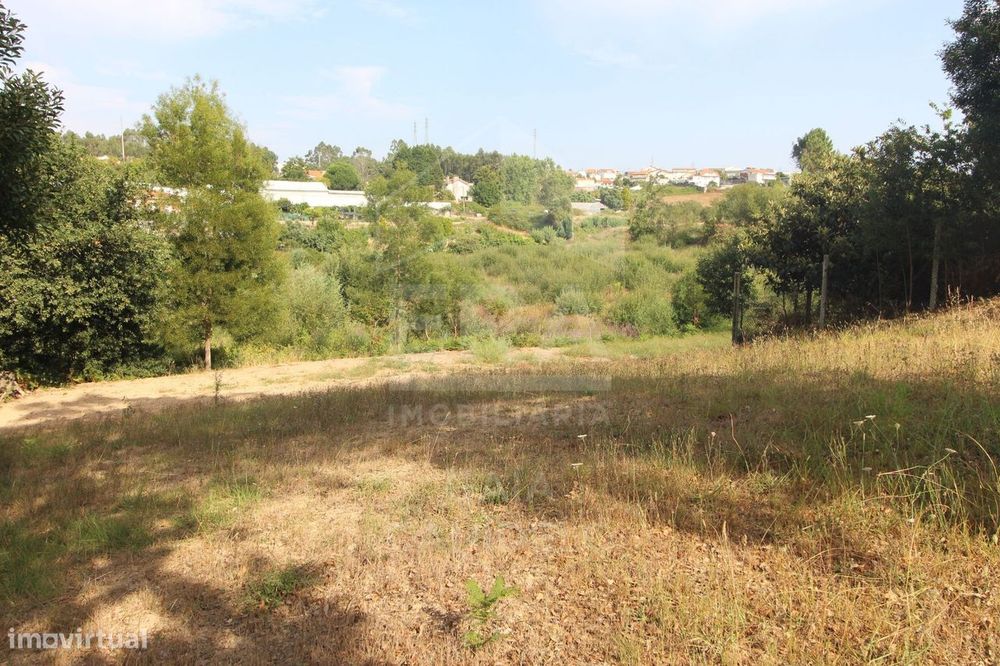 Discover this plot in Vilar do Paraíso