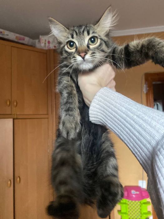 Спешите приобрести радость