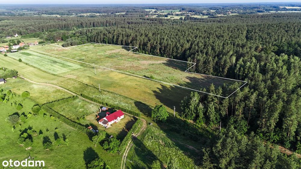 Działka, Wynki