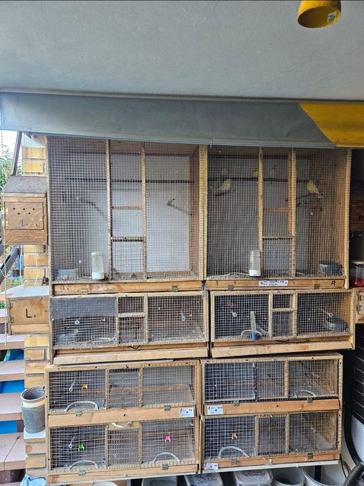 Klatki dla papug i kanarków