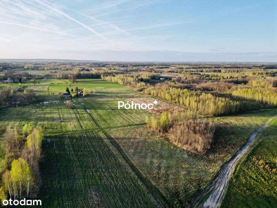 Działka rolni-budowlana 2,95h Żalin, gm. Ruda-Huta - Widok 4