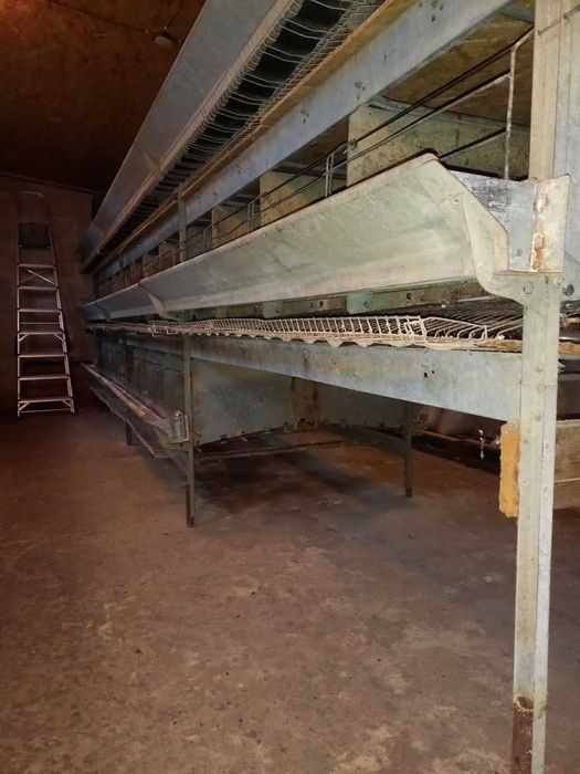 Клітка для курей несушок