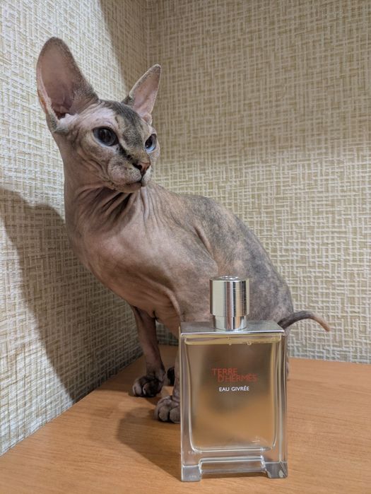 Продам Духи  Hermes Terre d'Hermes Eau Givree оригінал