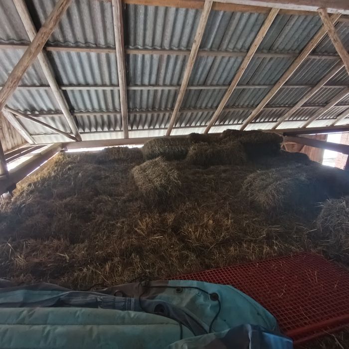 Тюки соломи, продам