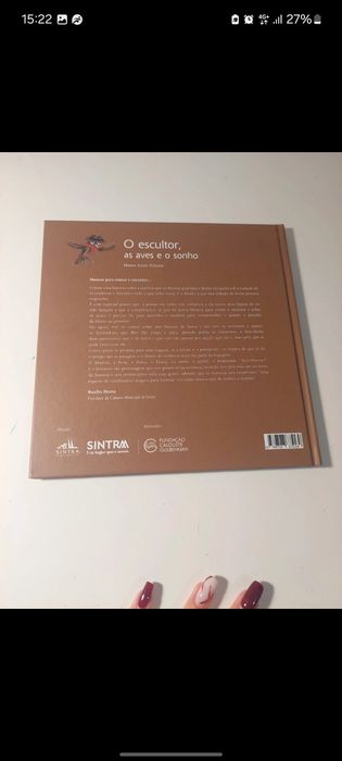 Livro: o escultor as aves e o sonho