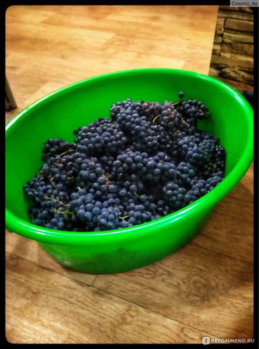 Домашнее вино. Без химии и добавок. ДОМАШНЕЕ