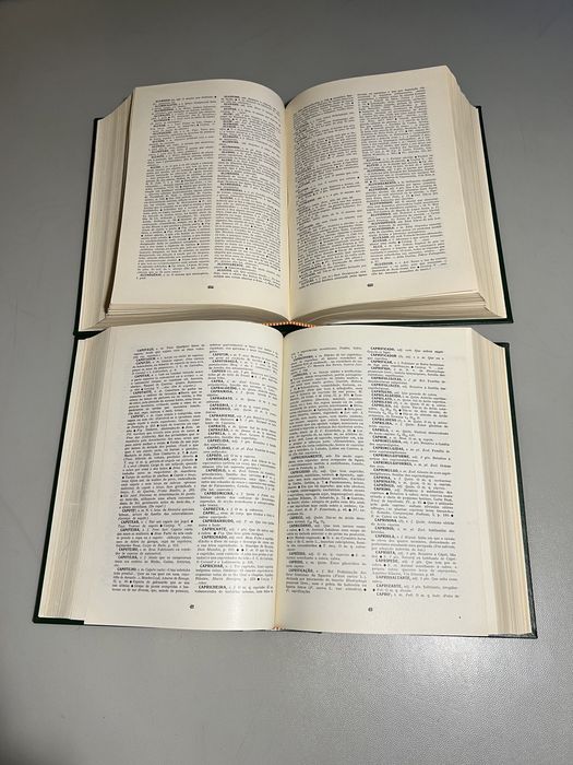 Coleção 2 Livros - Dicionário geral Luso-Brasileira da língua portuguesa