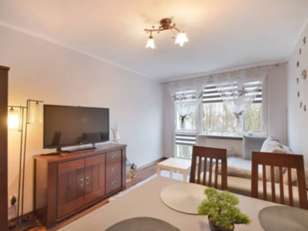 Apartament do wynajęcia 500 m. od morza.