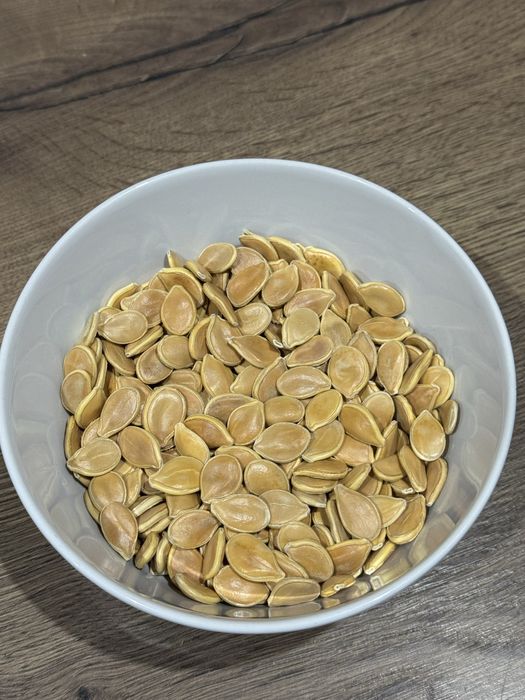 Nasiona dyni Hokkaido Uchiki Kuri