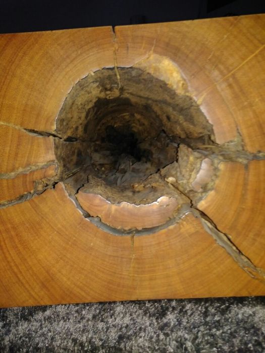Tronco frente de sofá