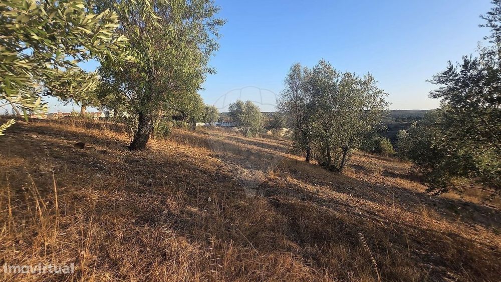 Terreno  para venda